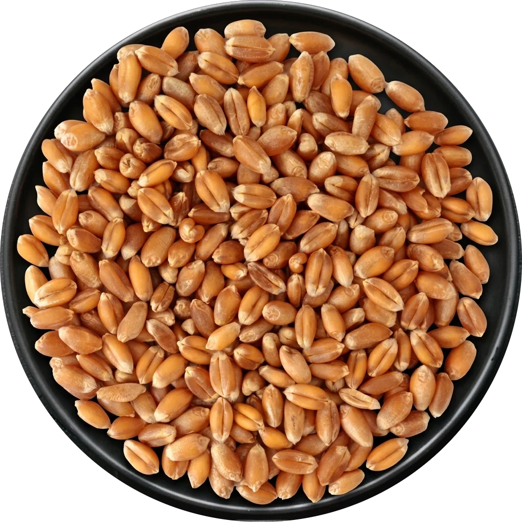 Wheat on a plate